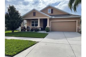 12012 Whistling Wind Dr, RIVERVIEW 12012 Whistling Wind Dr, RIVERVIEW