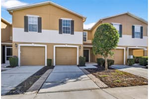 4224 Winding River Way, LAND O LAKES 4224 Winding River Way, LAND O LAKES