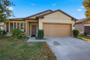 706 Sugar Camp Way, BROOKSVILLE