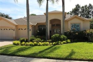 3678 Pendlebury Dr, PALM HARBOR