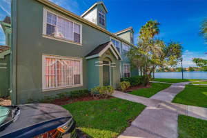 9028 Lake Chase Island Way, TAMPA