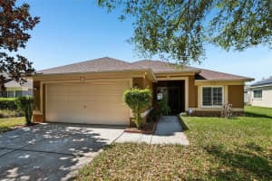 2726 Buckhorn Preserve Blvd, VALRICO