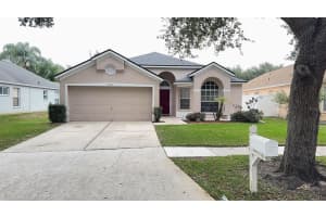 8517 Fawn Creek Dr, TAMPA