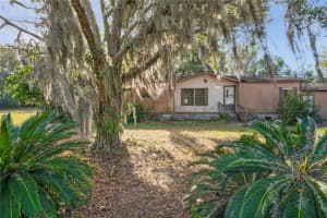 30546 Eastport Dr, WESLEY CHAPEL 30546 Eastport Dr, WESLEY CHAPEL