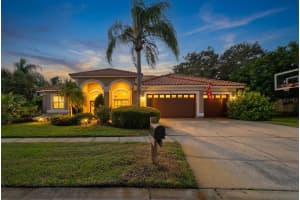 9912 Chris Craft Ct, TAMPA