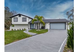 23700 Lake Hills Dr, LUTZ