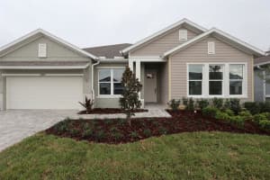 31479 Hayman Loop, WESLEY CHAPEL 31479 Hayman Loop, WESLEY CHAPEL