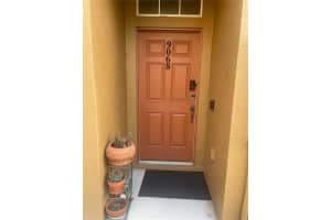 9068 Moonlit Meadows Loop, RIVERVIEW