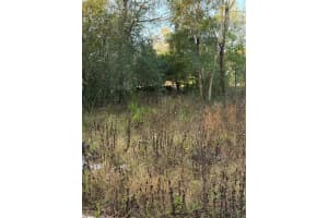 9411 Kissimmee St, NEW PORT RICHEY