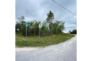 11205 Mountain Mockingbird Rd, WEEKI WACHEE 11205 Mountain Mockingbird Rd, WEEKI WACHEE