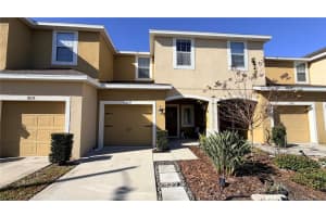 7037 Woodchase Glen Dr, RIVERVIEW 7037 Woodchase Glen Dr, RIVERVIEW