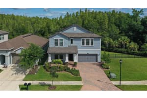 16312 Hyde Manor Dr, TAMPA