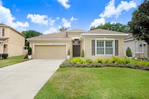 11415 Coventry Grove Cir, LITHIA