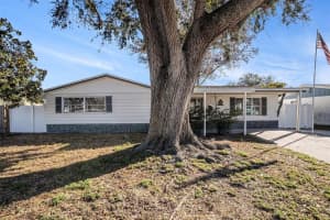 3240 Columbus Dr, HOLIDAY 3240 Columbus Dr, HOLIDAY