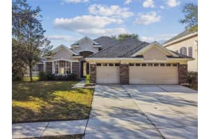 17804 Arbor Creek Dr, TAMPA