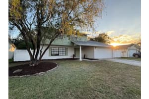 4416 Summer Oak Dr, TAMPA