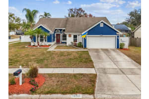 10207 Rainbridge Dr, RIVERVIEW