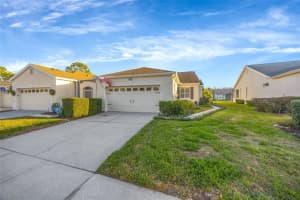 20804 Eustis Rd, LAND O LAKES