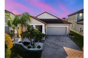 13322 Wildflower Meadow Dr, RIVERVIEW