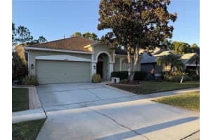 12507 Blazing Star Dr, TAMPA