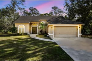 12715 Linda Dr, TAMPA