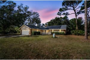 17641 Deerfield Dr, LUTZ 17641 Deerfield Dr, LUTZ