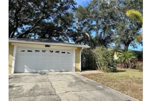 1119 Breeze Dr, LARGO