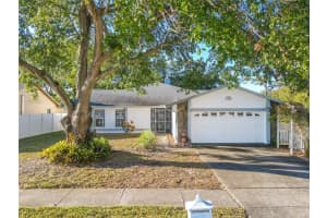 6808 Seafairer Dr, TAMPA