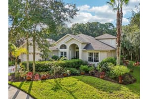 8257 Swann Hollow Dr, TAMPA