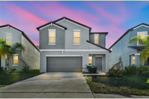 5157 White Chicory Dr, APOLLO BEACH