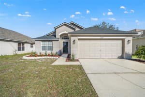 24425 Summer Wind Ct, LUTZ