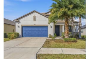 11014 Little Blue Heron Dr, RIVERVIEW