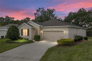 12701 Eastpointe Dr, DADE CITY