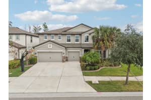 6634 Dutton Dr, WESLEY CHAPEL