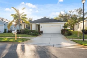 11254 Mollymawk Ct, NEW PORT RICHEY 11254 Mollymawk Ct, NEW PORT RICHEY