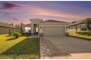 19772 Preservation Woods Dr, LUTZ