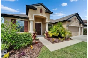 11911 Sunburst Marble Rd, RIVERVIEW