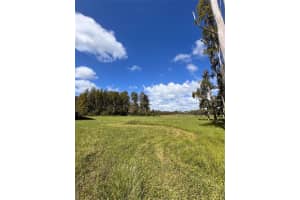 1029 Van Dyke Rd, LUTZ