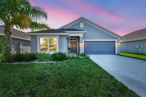 14524 Scottburgh Glen Dr, WIMAUMA 14524 Scottburgh Glen Dr, WIMAUMA