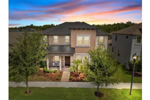 4465 Tubular Run, LAND O LAKES