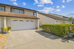 4207 Arborwood Ln, TAMPA