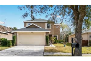 9446 Leatherwood Ave, TAMPA
