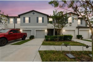 4415 Globe Thistle Dr, TAMPA