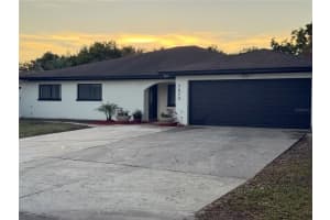 7818 N Cameron Ave, TAMPA