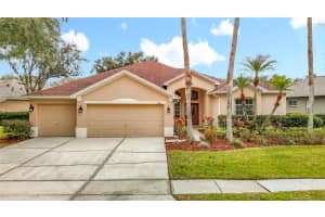 8521 Bramwell Way, TAMPA