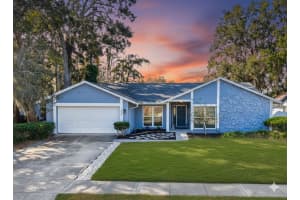 16646 Vallely Dr, TAMPA