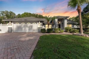 15123 Bald Eagle St, TAMPA