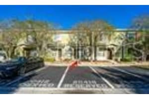 20416 Berrywood Ln, TAMPA