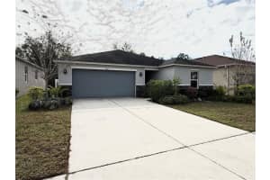 9231 Freedom Hill Drive, SEFFNER