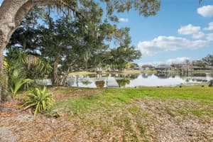 3120 Pine Shadow Dr, LAND O LAKES